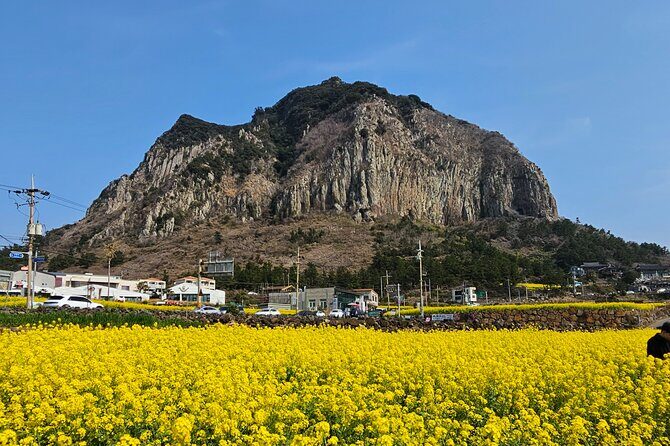Private Tour South and West Jeju Island with Experienced Driver - Who This Tour Is Best For