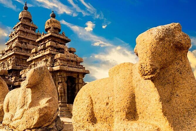 Private Tour South India and Goa for 27 Days - A Deep Dive into the 27-Day South India and Goa Tour