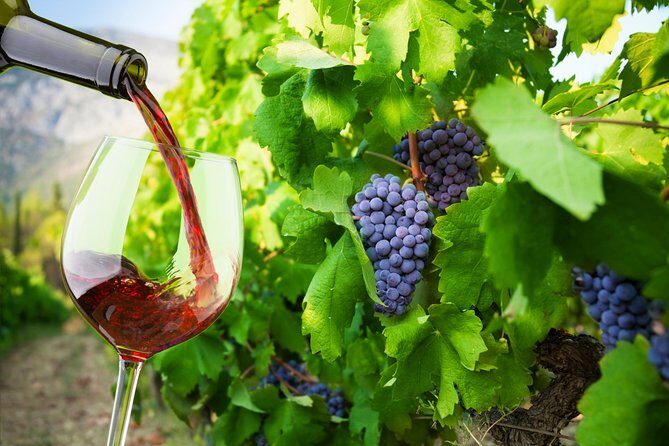 Private Tour: Ston and Peljesac Peninsula Day Trip with Wine Tasting - Key Points