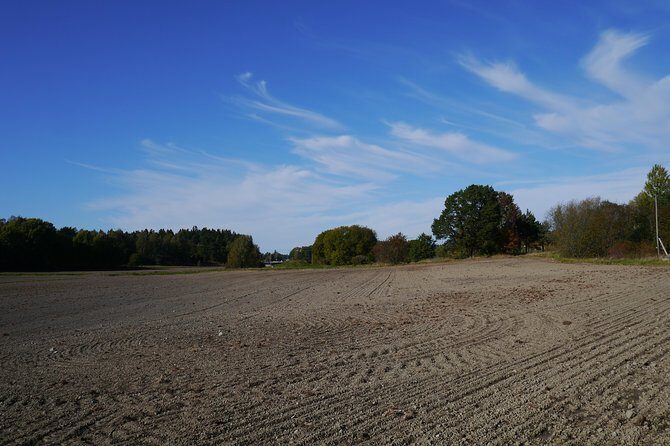 Private Tour: Swedish History Day Trip to World Heritage Candidate Markim-Orkesta from Stockholm - Key Points