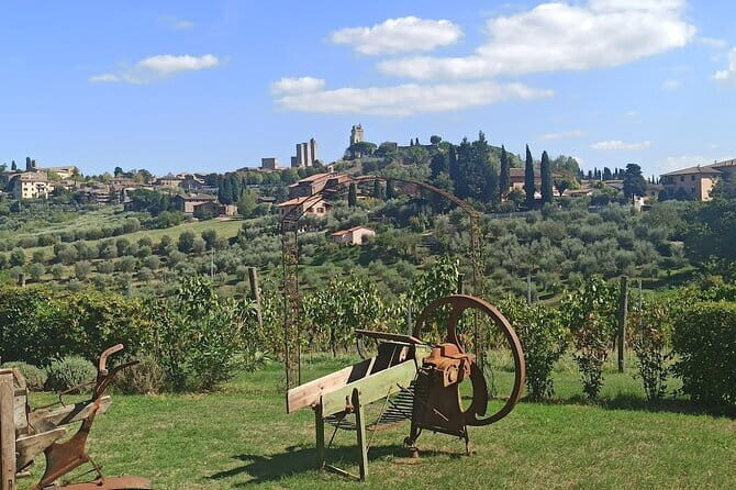 PRIVATE TOUR "Sweet Hills of Chianti and San Gimignano" with Lunch & 2 Tastings - A Well-Curated Day in Tuscany