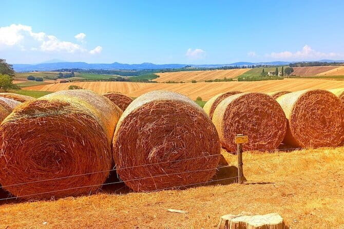 PRIVATE TOUR "Sweet Hills of Chianti and San Gimignano" with Lunch & 2 Tastings - Farm Lunch & Wine Tasting at Podere La Marronaia