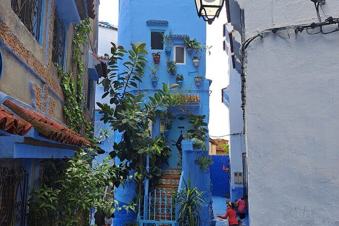 Private Tour: Tangier From Malaga. Breakfast and Lunch Included - FAQ