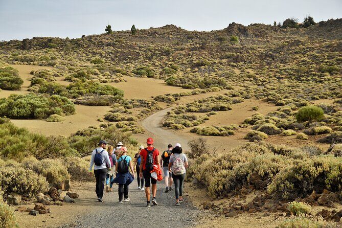 PRIVATE TOUR Teide National Park: Hiking and Stargazing - Who Is This Tour Best For?