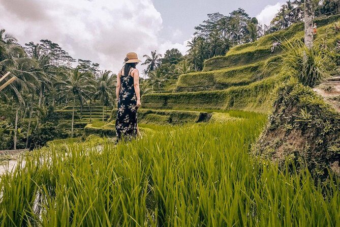 Private Tour-Temple, Waterfall & Coffee plantation - Final Thoughts: Who Should Book This Tour?