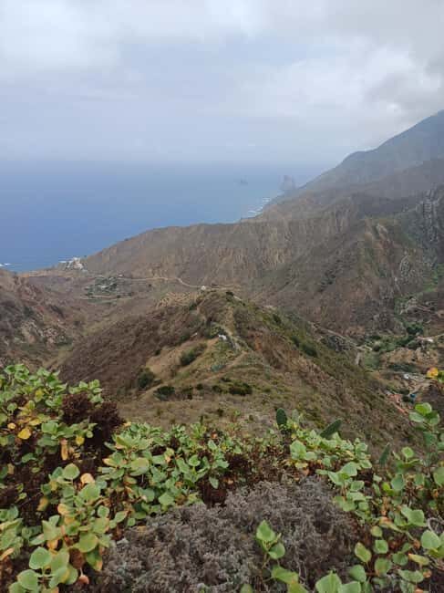 Private Tour Tenerife: Anaga, Taganana, Benijo & La laguna - Key Points