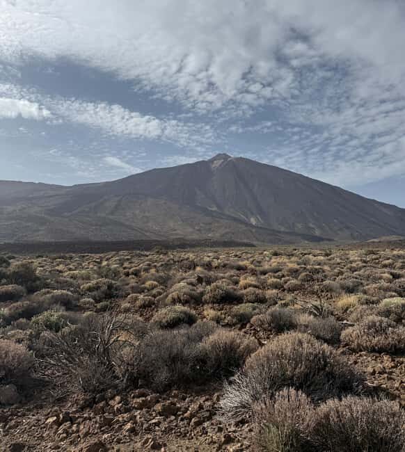 Private tour Tenerife: Teide National Park + Restaurant - A Deep Dive into the Private Tour Experience