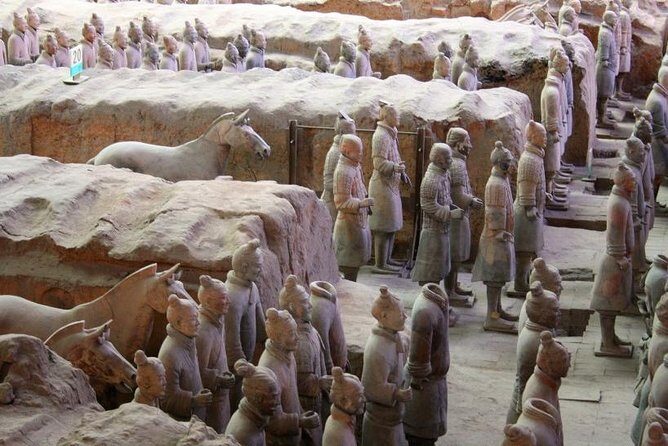 Private Tour: Terracotta Warriors and Han Yang Ling Mausoleum from Xi'an - The Practical Aspects: What to Expect and Considerations