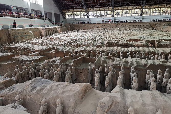 Private Tour-Terracotta Warriors Museum with Lunch - Key Points