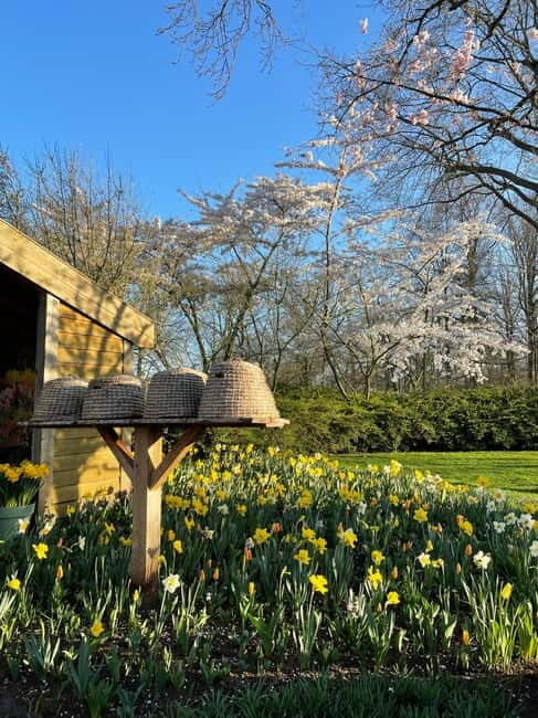 Private Tour, Tesla from Amsterdam: Keukenhof & Tulip Fields - Key Points