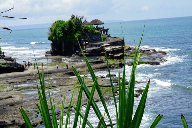 Private Tour The Beauty of Jatiluwih Rice Terrace - The Sum Up