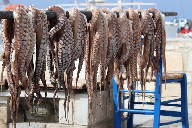 Private Tour: The Best of Mykonos (no walking) - Final Thoughts