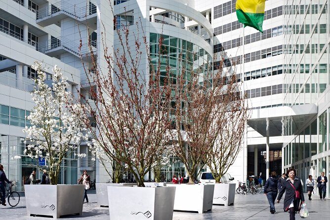 Private Tour: The Hague Walking Tour Including Peace Palace Visitors Center - Who Is This Tour Best For?