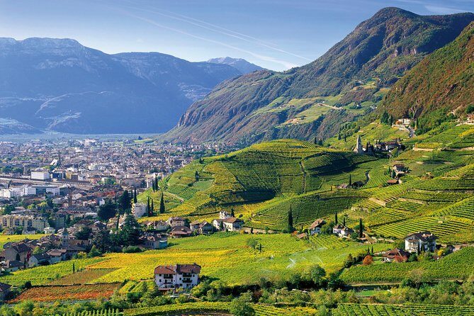 Private Tour The ultimate South Tyrol wine & food experience - An In-Depth Look at the South Tyrol Wine & Food Tour