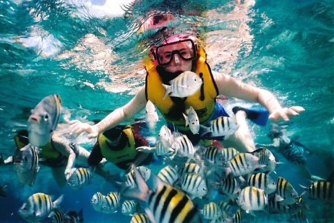 Private Tour: Tioman Island (Sribuat) Reef Snorkel & Summit Hike from Singapore - Exploring the Tioman Island (Sribuat) Reef Snorkel & Summit Hike Private Tour from Singapore