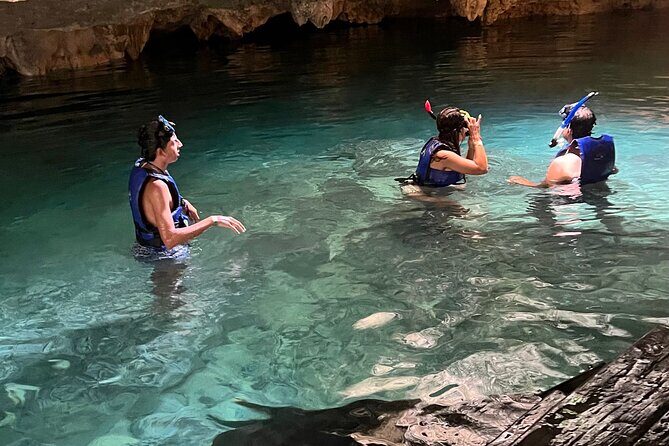 Private Tour to 4 Cenotes - The Itinerary Breakdown: What Makes Each Cenote Special?