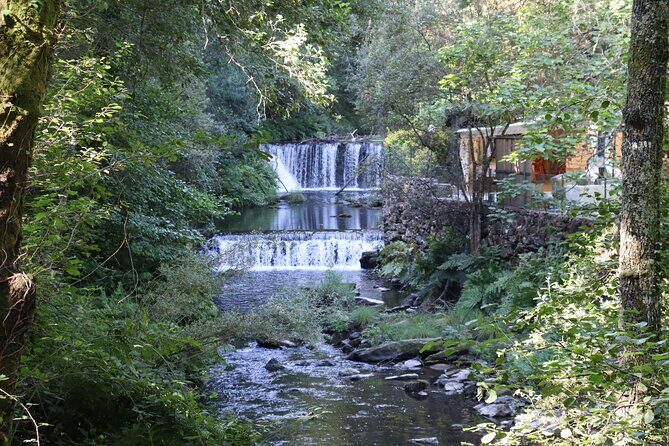 Private Tour to Arouca 516 Bridge and Passadiços do Paiva - An In-Depth Look at the Itinerary and What to Expect