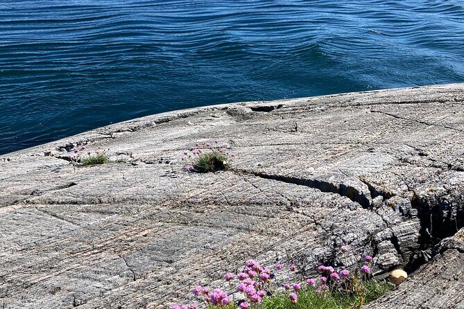 Private Tour to Atlantic Road from Ålesund groups 1 to 40 - Håholmen: A Calm Retreat
