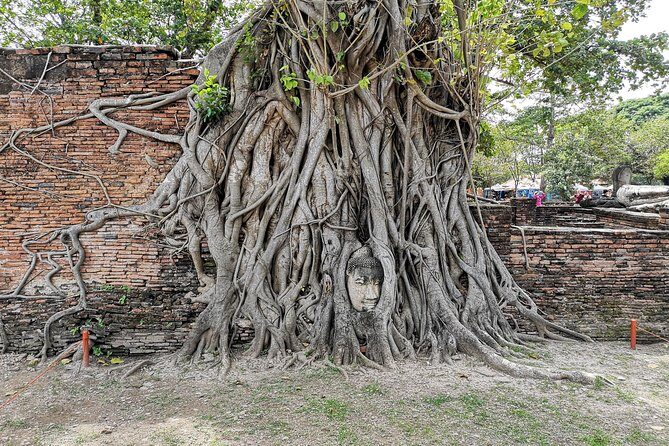 Private tour to Ayutthaya and Lopburi Monkey Temple (from Bangkok) - FAQ