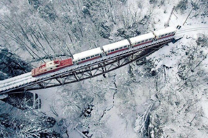 Private Tour to Bakuriani Ski Resort and the Legendary Borjomi - Key Points