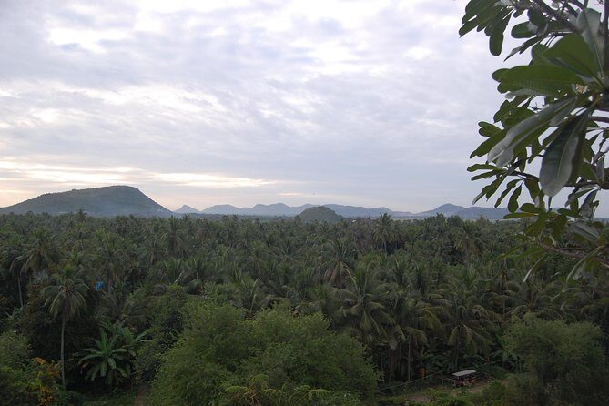 Private Tour to Battam Bang plus lunch from Siem Reap - Sunset with a Bat Spectacle at Phnom Sapeuv