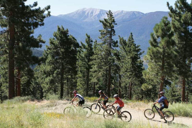 Private tour to Big Bear Lake and Lake Arrowhead from LA - Customization and Flexibility