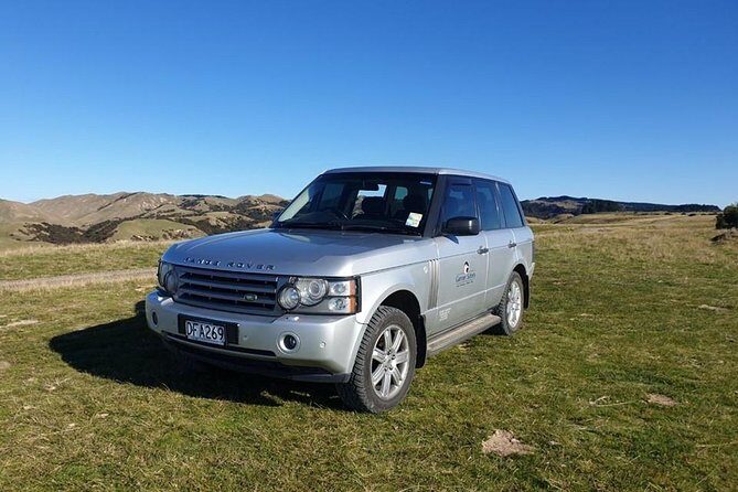 Private tour to Cape Kidnappers Gannet Colony - Key Points