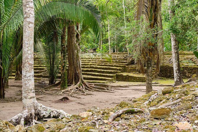 Private Tour to Chacchoben Mayan Ruins & beach - Exploring the Itinerary: What You’ll Experience