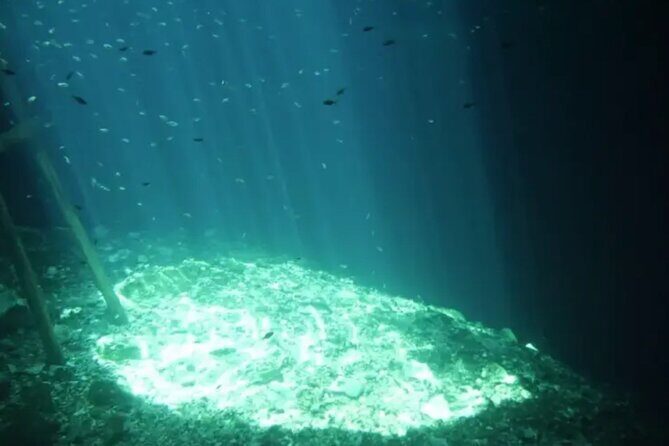 Private Tour to Chichen Itza and Cenote Tsukan with Meal Included - Practical Details and Value