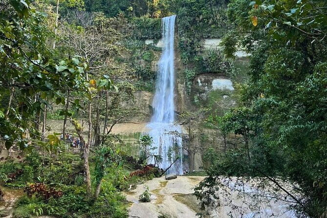 Private Tour to Chocolate Hills, Tarsiers, & River Lunch in Bohol - Who Would Love This Tour