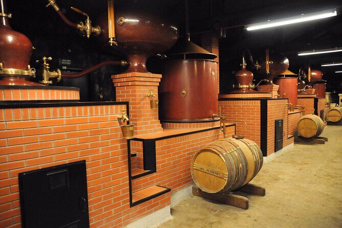 Private Tour to Cognac from Bordeaux - Who Will Love This Tour?