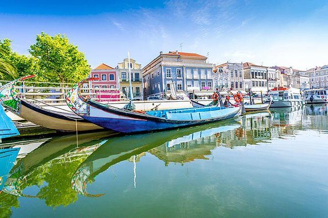Private Tour to Coimbra, Aveiro and Costa Nova - Who is this tour most suitable for?