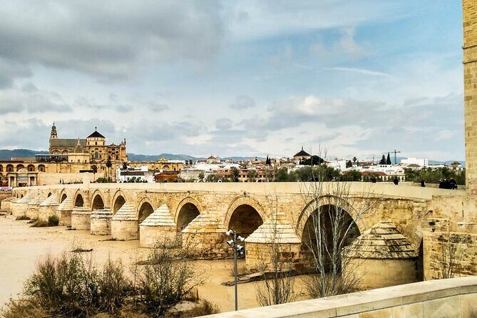 Private tour to Córdoba from Seville (several options) - Discovering Córdoba: A City of Contrasts and Charm