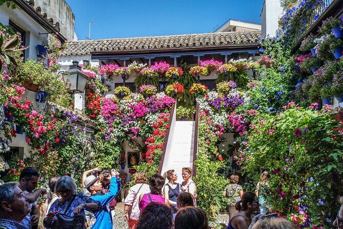 Private tour to Córdoba from Seville (several options) - The Sum Up: Is This Tour Right for You?