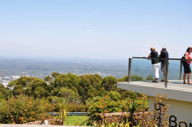 Private Tour to Dandenong Ranges & Puffing Billy Steam Train - A Deep Dive into the Experience