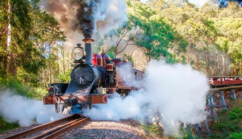 Private Tour to Dandenong Ranges & Puffing Billy Steam Train - Practical Details and Tips