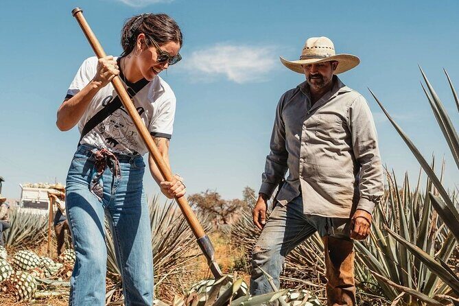 Private Tour to Distillery Tequila Ocho and Arandas - Key Points