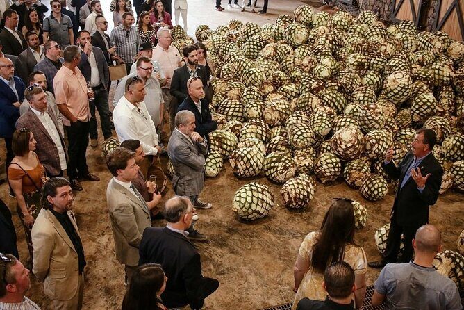 Private Tour to Distillery Tequila Ocho and Arandas - Detailed Review