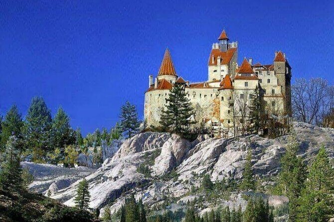 Private Tour to Dracula's Castle, Braov City & Pele Castle - Practical Details & Price Analysis