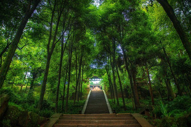 Private Tour to Dujiangyan & Mt Qingcheng from Chengdu - The Practical Aspects