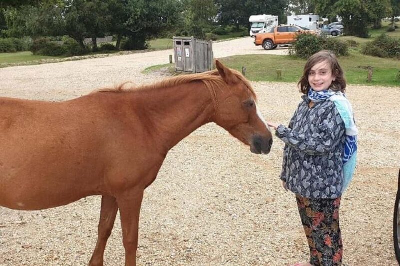 Private tour to Durdle Door, Corfe Castle, New Forest - An In-Depth Look at the Experience