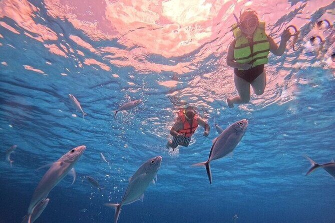 Private Tour to El Cielo and El Cielito and Palancar Cozumel - Who Is This Tour Best For?