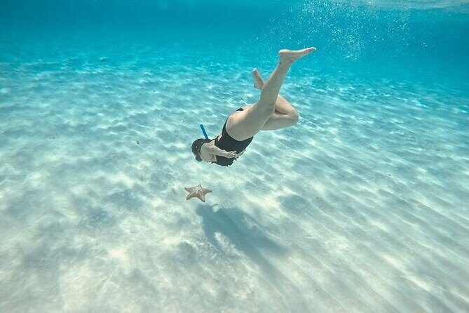 Private Tour to El Cielo and El Cielito and Palancar Cozumel - The Sum Up