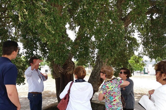 Private Tour to Evora and Cork Experience from Lisbon - Practical Tips for the Day