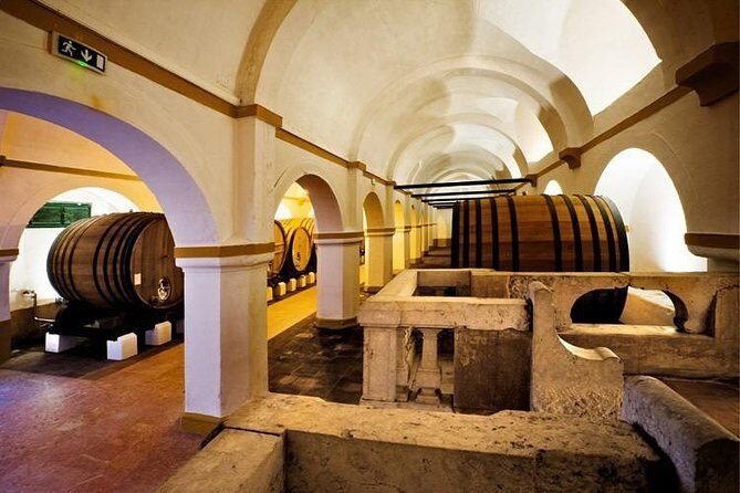 Private tour to Evora with optional wine tasting in the cartucha - Who Is This Tour Best For?