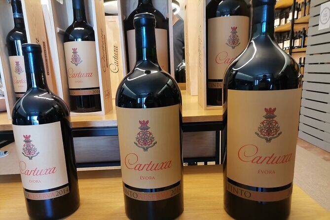 Private Tour to Evora with wine tasting at the Cartuxa Winery - Introduction: Why This Tour Stands Out