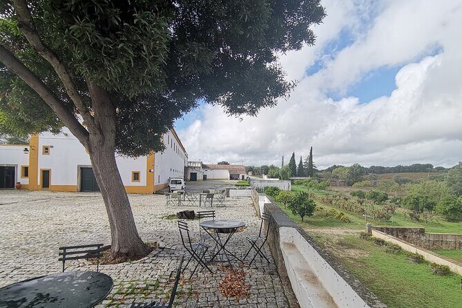 Private Tour to Evora with wine tasting at the Cartuxa Winery - Deep Dive into the Itinerary