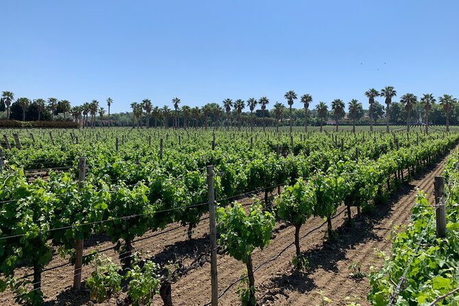 Private tour to Fatima, Nazare and Obidos - A Deep Dive into the Itinerary