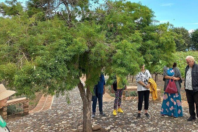 Private Tour to Finca Estramancia Vineyard and the Chapala Riviera - Final Thoughts