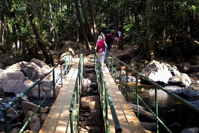 Private Tour to Goa and Dudhsagar Waterfalls with Lunch - Detailed Review of the Tour